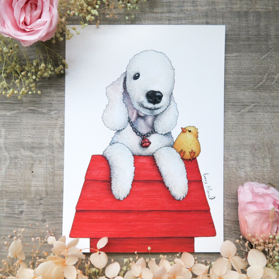 【猫疯子】明信片(68) - 卡片/明信片 - 纸 多色