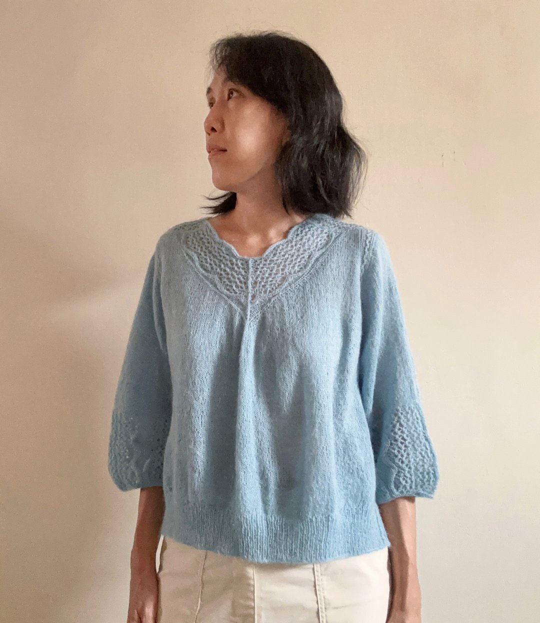 Opuntia pullover中文版电子织图 - 电子书/杂志 - 其他材质 