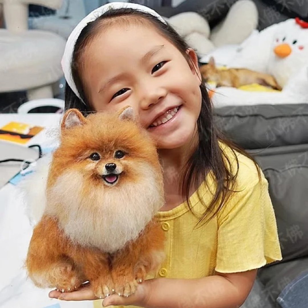 定制 逼真犬 毛孩 宠物 博美犬 羊毛毡 娃娃 似颜绘 纪念 狗狗 j5 - 玩具 - 羊毛 多色