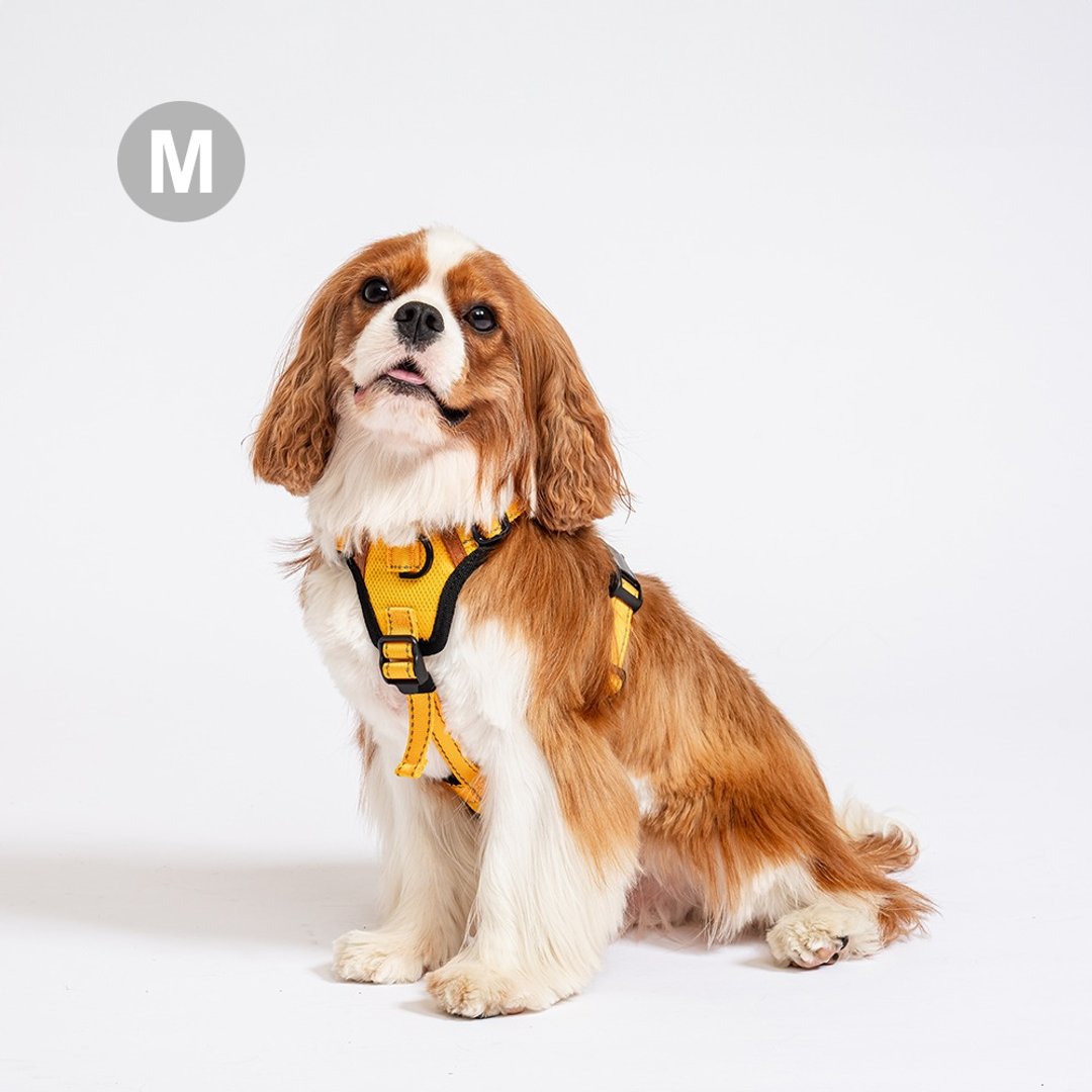 Pawfect-Fit! Pet Harness 机能宠物胸背带2.0(M) - 项圈/牵绳 - 聚酯纤维 