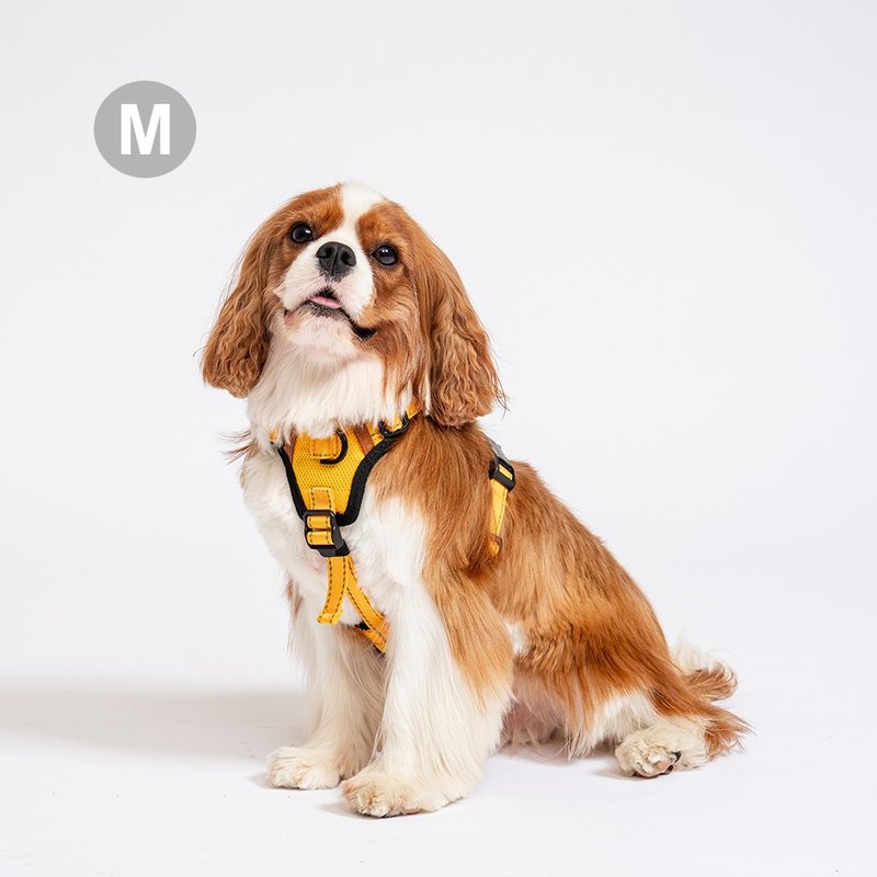 Pawfect-Fit! Pet Harness 机能宠物胸背带2.0(M) - 项圈/牵绳 - 聚酯纤维 