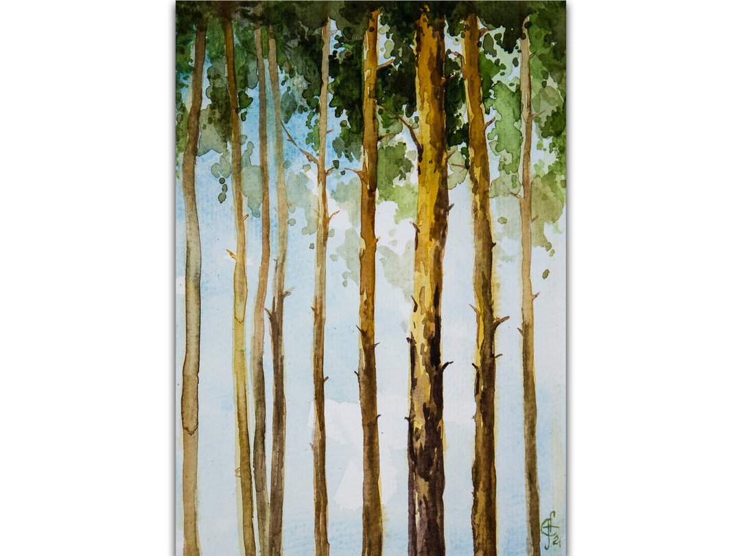 Pine Tree Painting Forest Original Art Watercolor Original Hand-Painted Art - 海报/装饰画/版画 - 纸 绿色