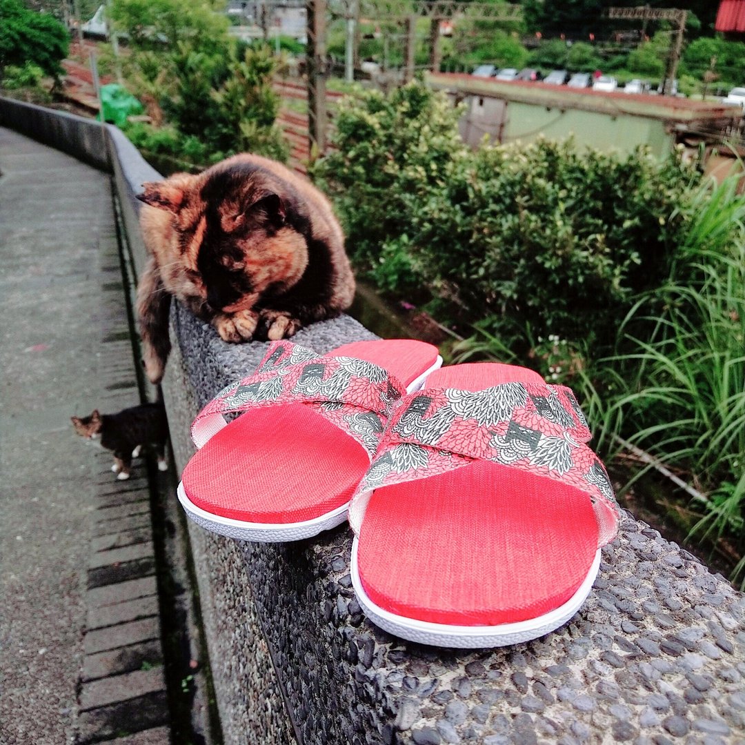 亲肤减压轻量舒适 / 台湾手作室内拖鞋 l 猫奴万岁 / 红底色 - 室内拖鞋 - 聚酯纤维 