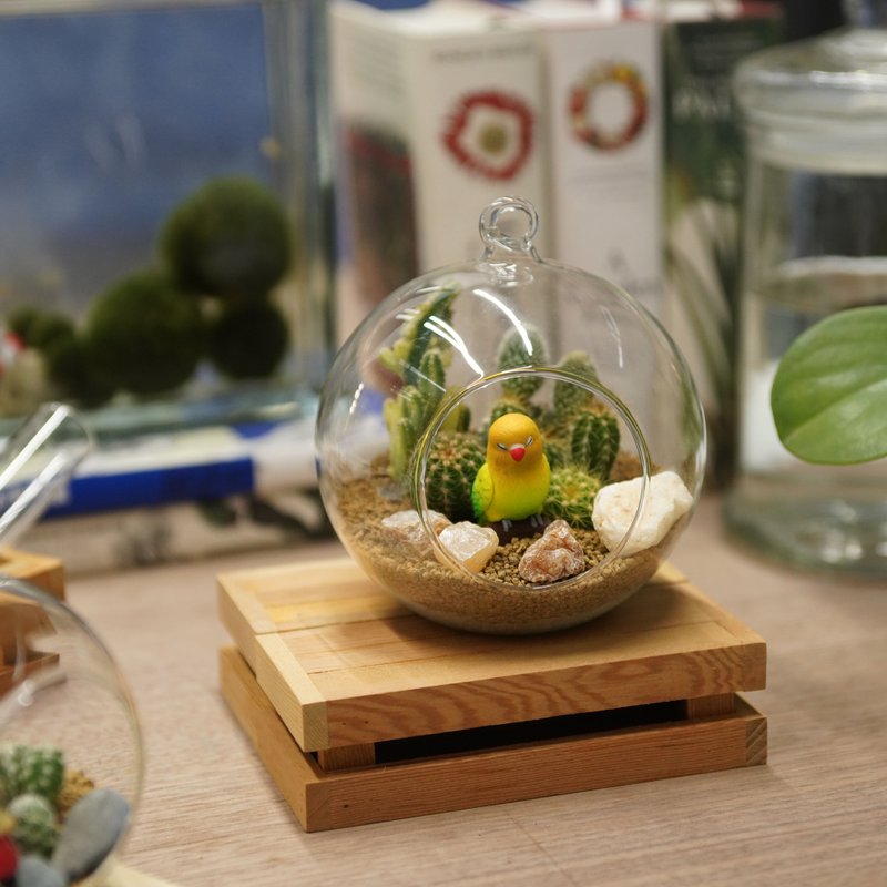 玻璃球世界 大球球版 - 植栽 - 植物．花 金色