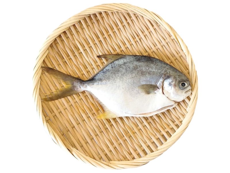 黄金鲳 履历验证全鱼去鳞去内脏免洗料理方便 - 其他 - 新鲜食材 黄色