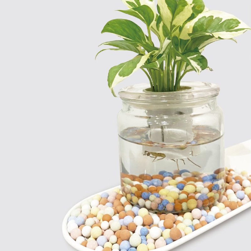 │ 居家小物 │莫兰迪陶石- 装饰小物 净化水质 高温烧制 无菌 - 摆饰 - 陶 