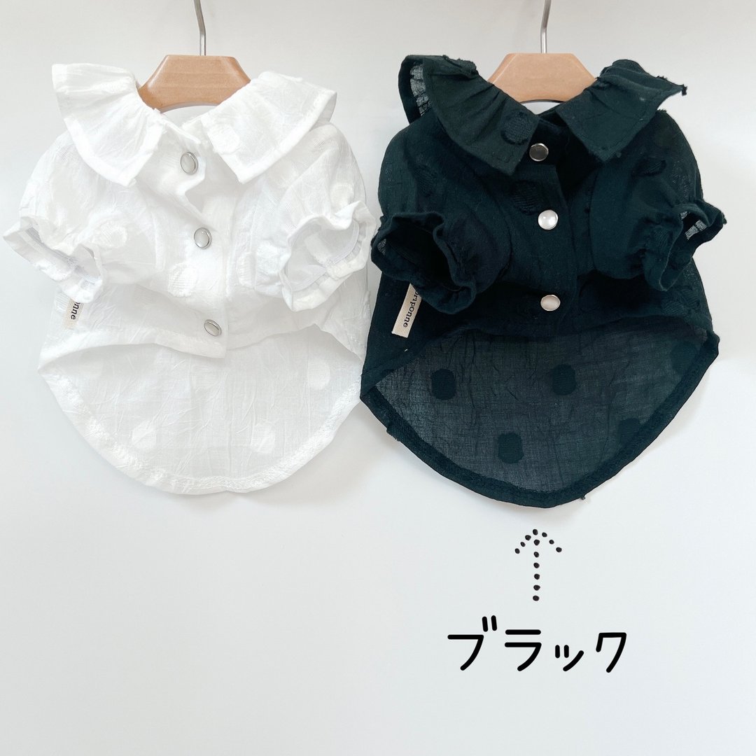 狗狗衣服/透明圆点黑 - 衣/帽 - 棉 黑色