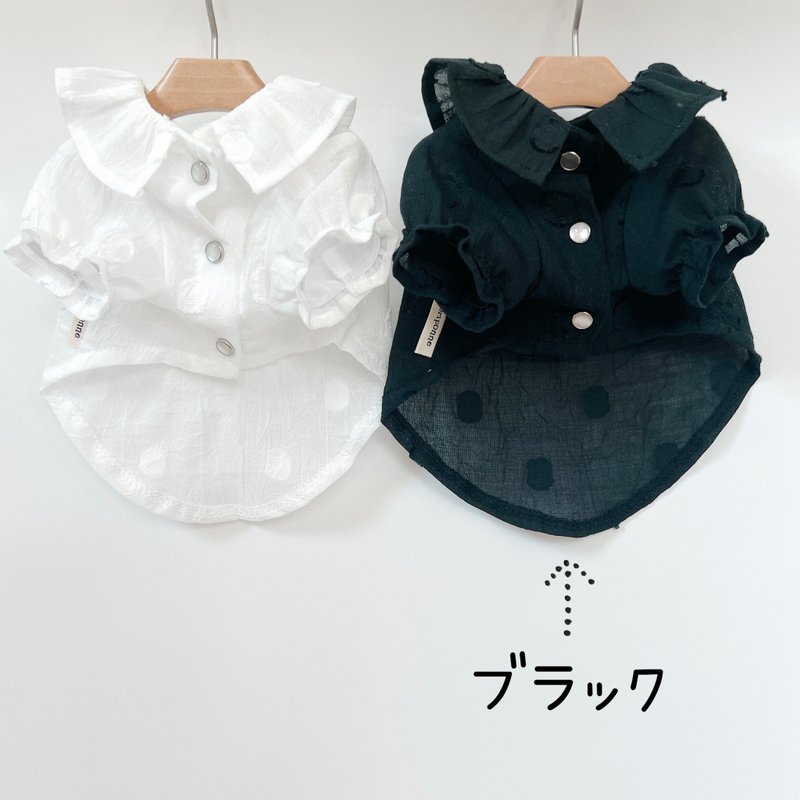 狗狗衣服/透明圆点黑 - 衣/帽 - 棉 黑色