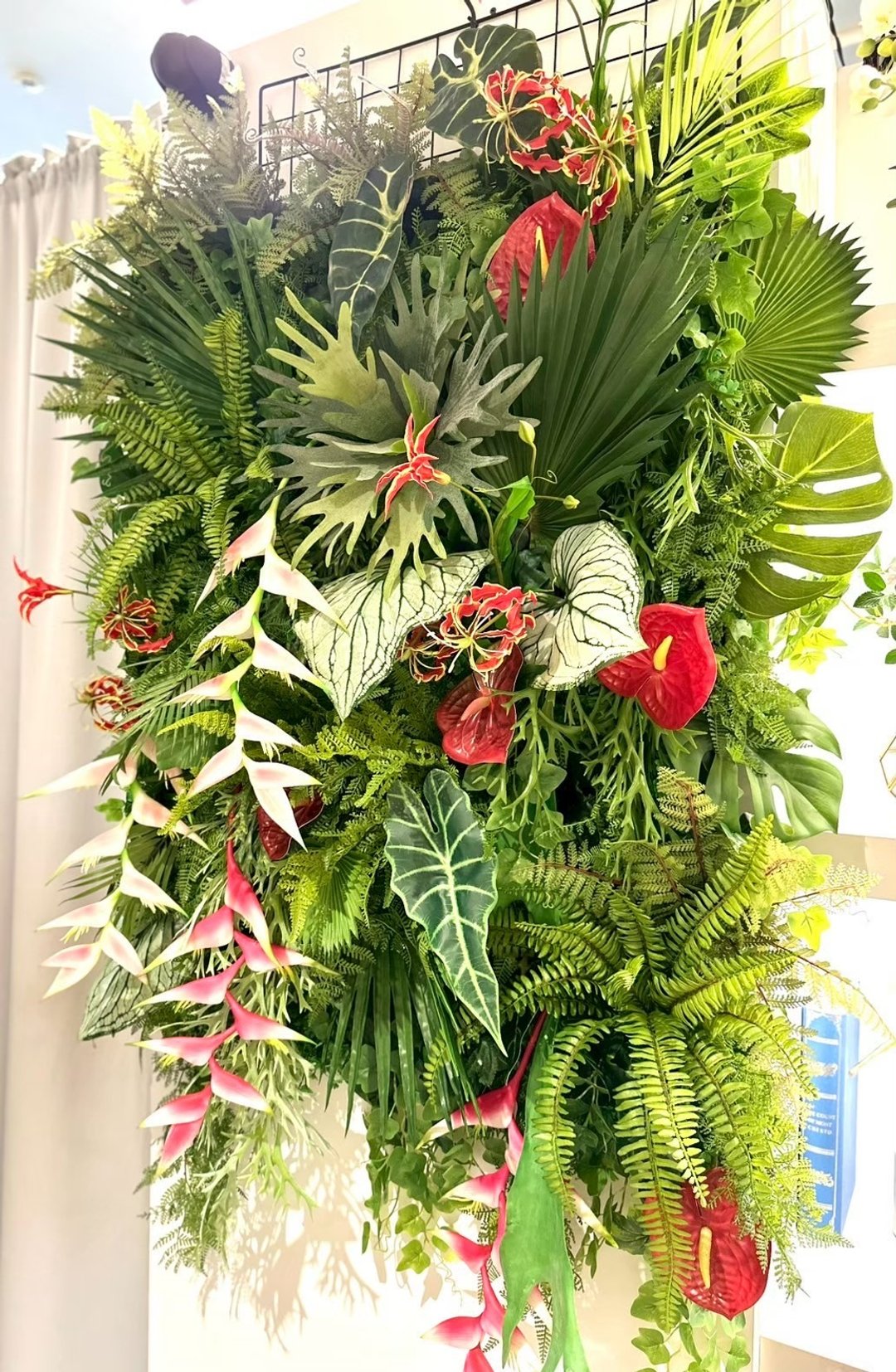 热带生态雨林植物生态墙 包邮专人配送限双北市 其余地区需补费 - 植栽/盆栽 - 其他材质 绿色