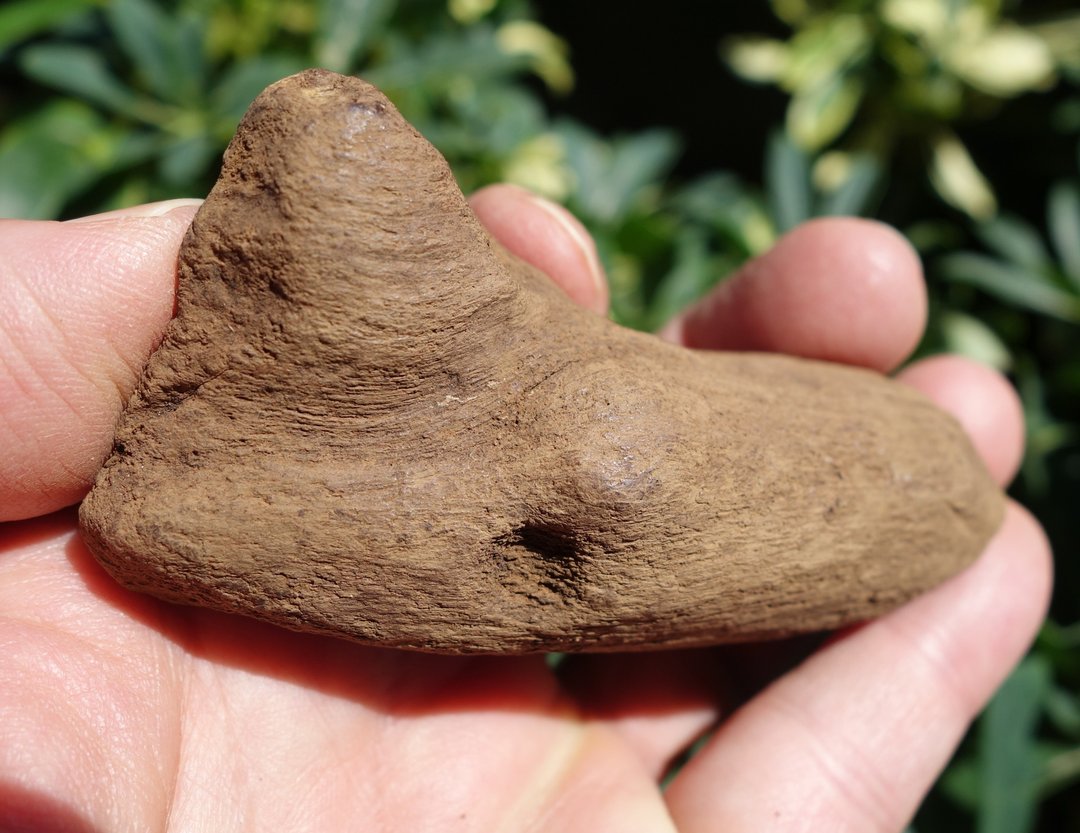 加里曼丹野生沉香老料47.9公克 Agarwood 沉香摆件【沉水级】星洲 - 香薰/精油/线香 - 其他材质 卡其色