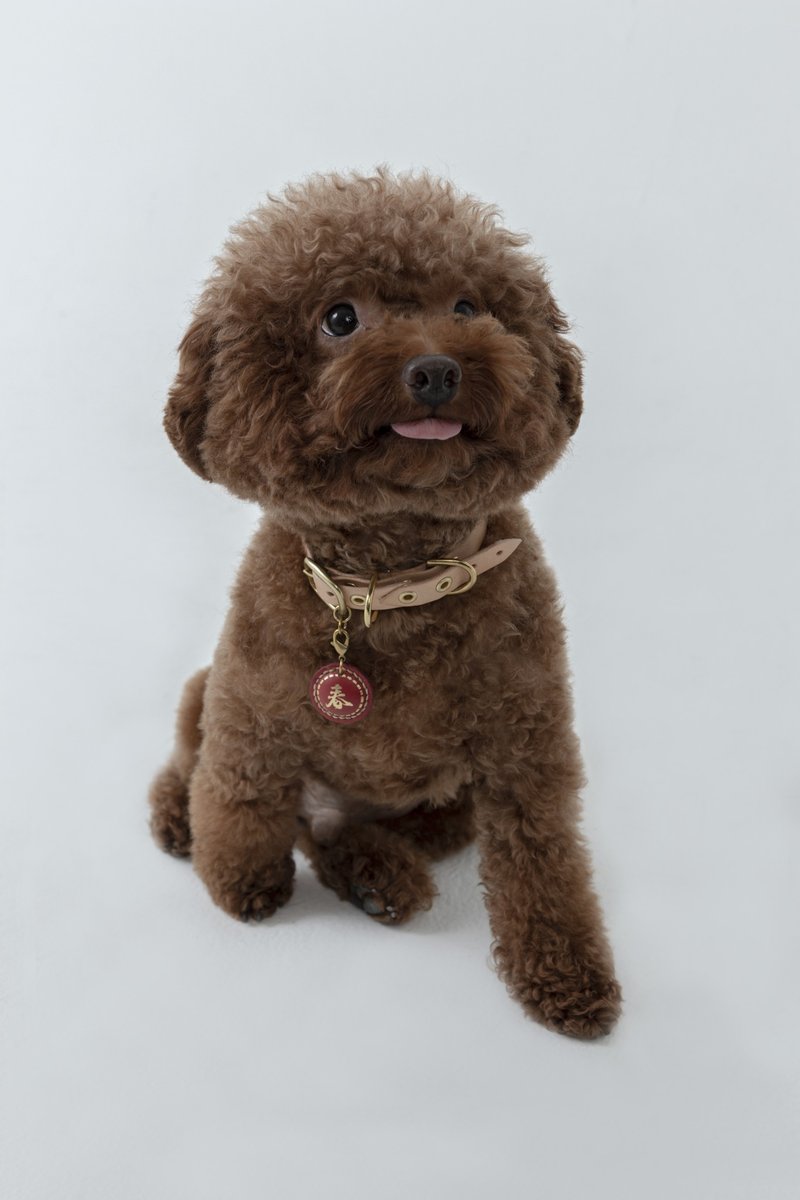 春福财发真皮吊饰 宠物 钥匙 配件  春字s尺寸 - 吊饰 - 真皮 红色