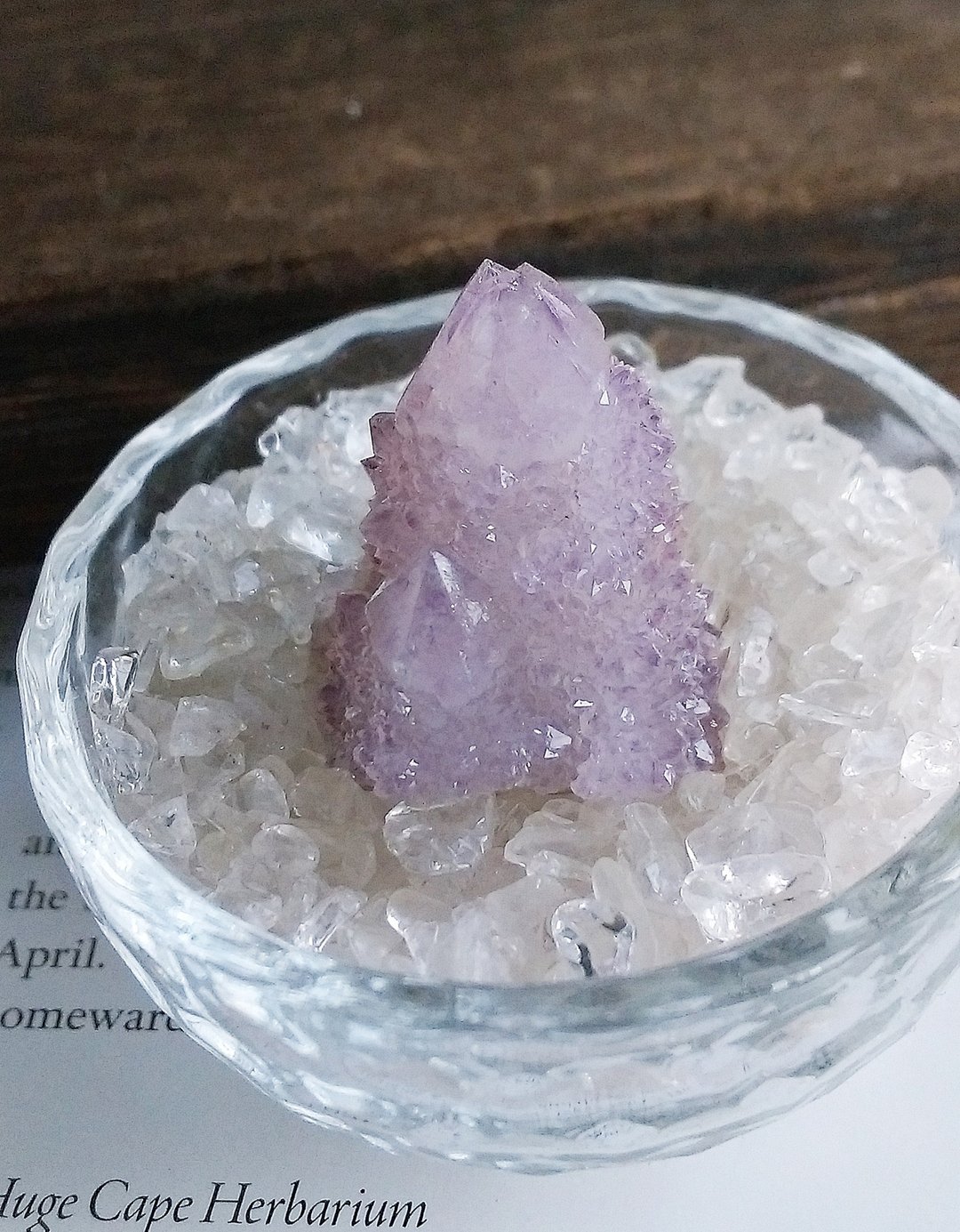 Cactus Amethyst 南非产地 仙人掌紫水晶 天然矿石 原矿 - 摆饰 - 其他材质 