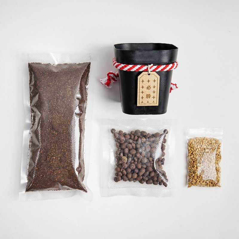 【DIY材料包】自己的心愿自己种 | 考生必备、祈福、香草、猫草 - 植栽 - 植物．花 绿色