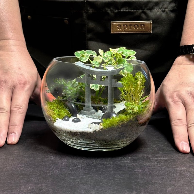 侘寂之径 / 手工定制化微景观生态盆 - 植栽/盆栽 - 植物．花 