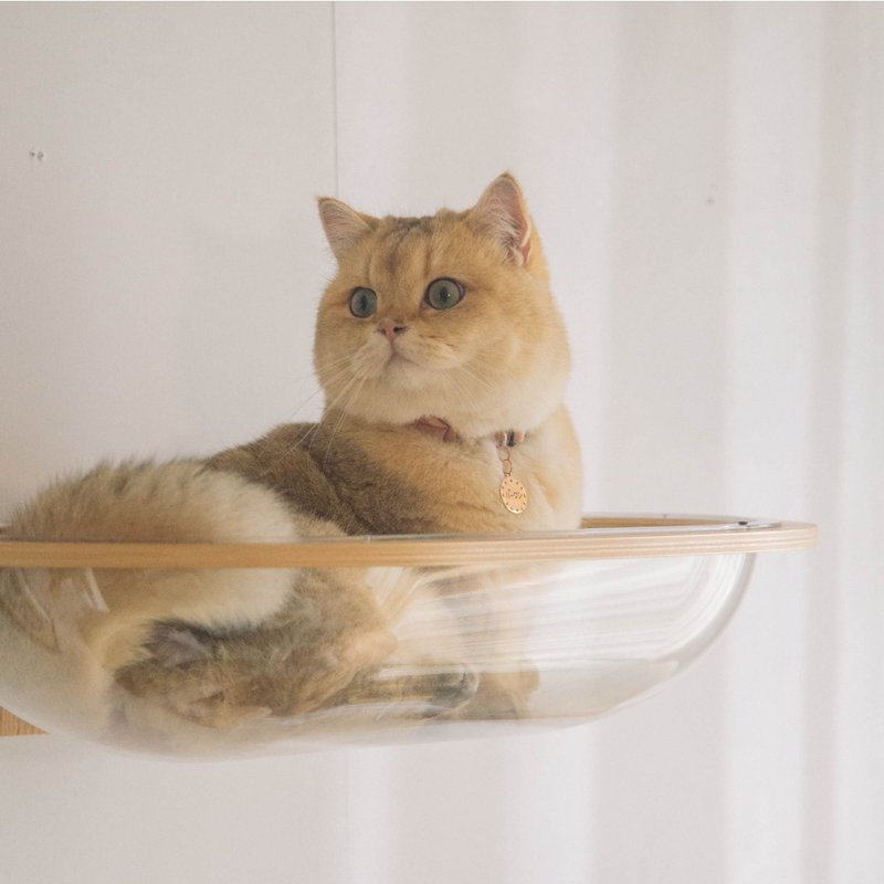 Aura 星河猫窝 - 抓板/跳台 - 木头 多色