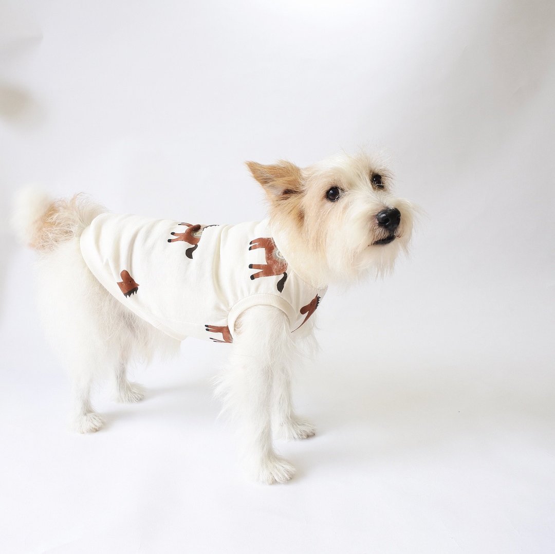 New Collection BEACH PICNIC  Dog Clothes / Horse Horse Horse - 衣/帽 - 棉．麻 白色
