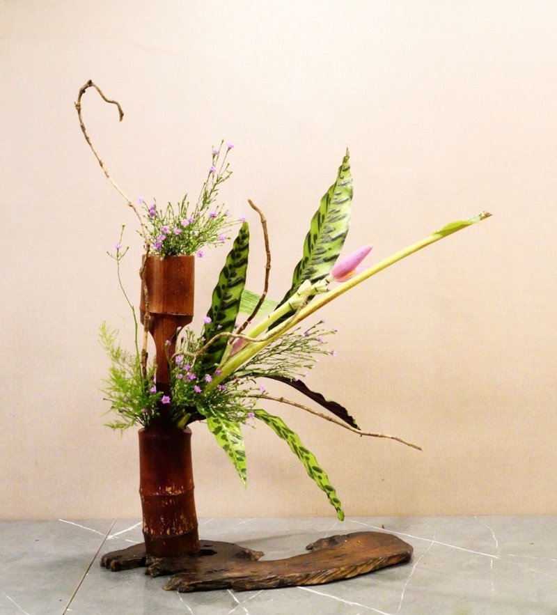 【植日生证照班】中华花艺证照班_每期十堂课 - 植栽 - 植物．花 
