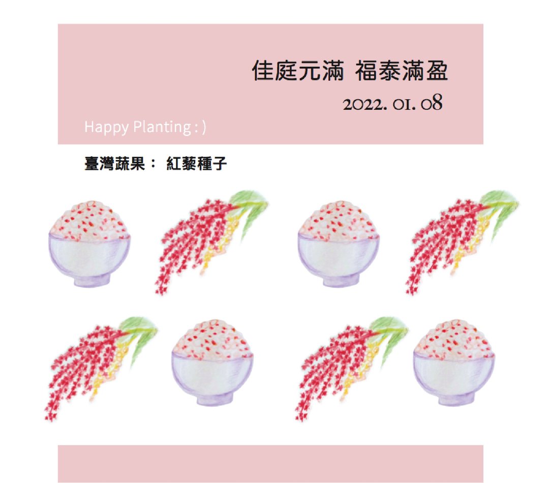 Plant Happiness 种子婚礼小物/红藜/2g标准版/定制英文名 - 植栽/盆栽 - 其他材质 粉红色