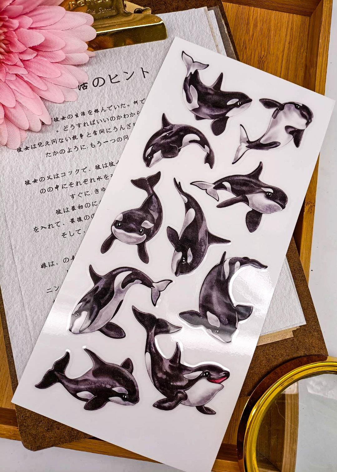 5K070-38_五口美-乾式轉印貼紙_ I am pretty Transfer Stickers - 贴纸 - 其他材质 多色