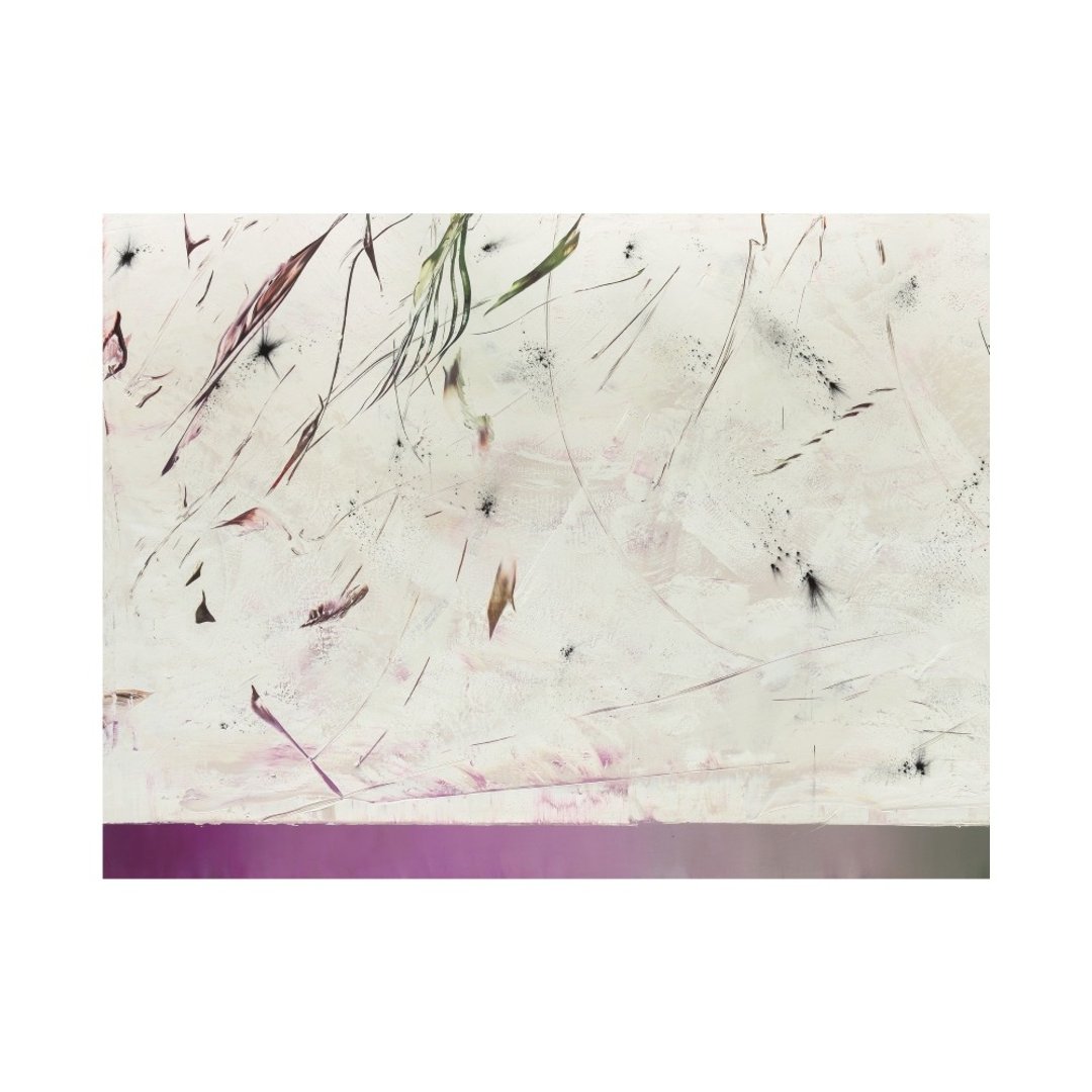 【艺术挂画】Hubert Scheibl | Steps of Evolution (演化的步骤) - 海报/装饰画/版画 - 纸 