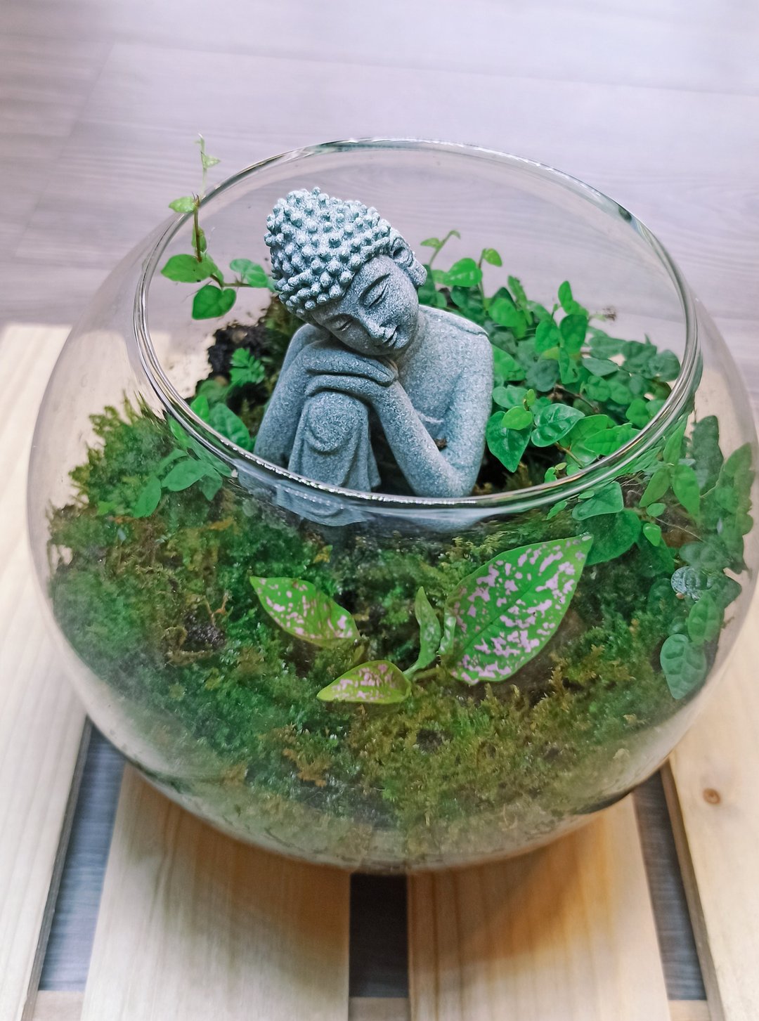 【苔疗愈】佛像禅意-生态瓶DIY材料包 - 植栽 - 玻璃 透明