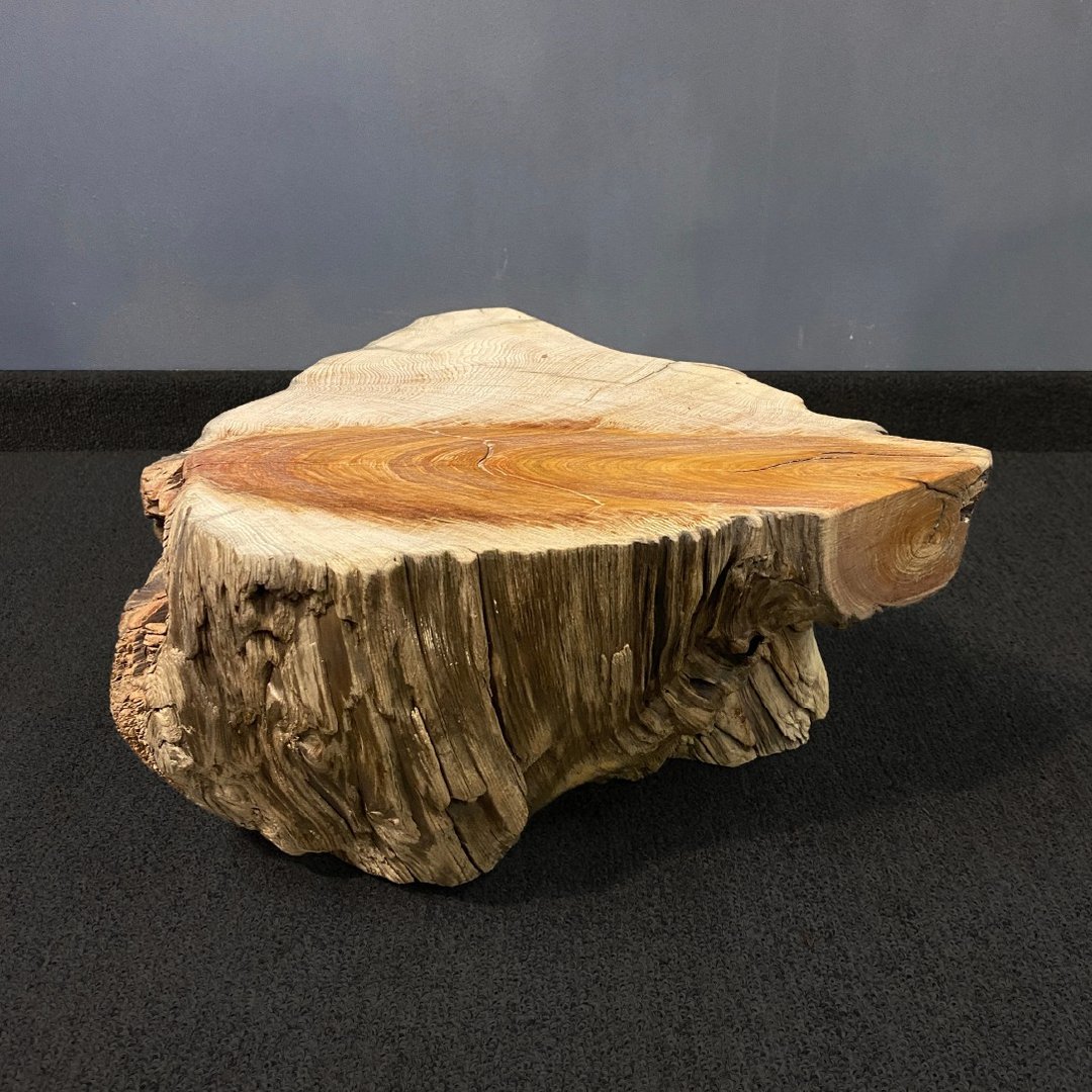 【现货】台湾扁柏摆设 桧木原木Hinoki 装饰摆饰收藏 台湾 - 摆饰 - 木头 卡其色