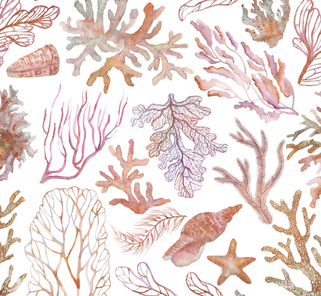 Coral.  Seamless patterns. Clipart - 插画/绘画/写字 - 其他材质 