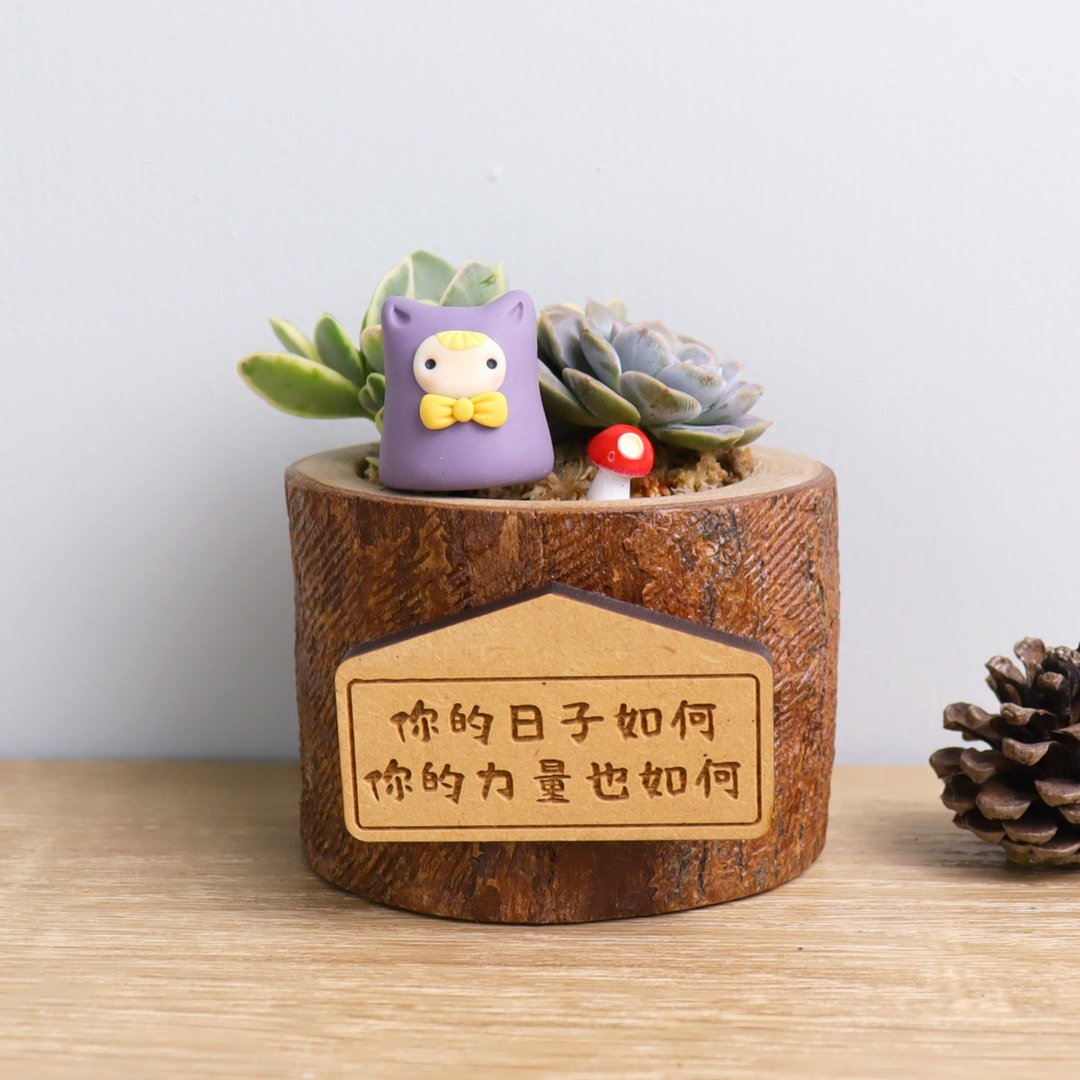 小日苗系列-紫-多肉植物微景观原木盆栽定制礼物(附磁铁字牌) - 植栽/盆栽 - 木头 紫色