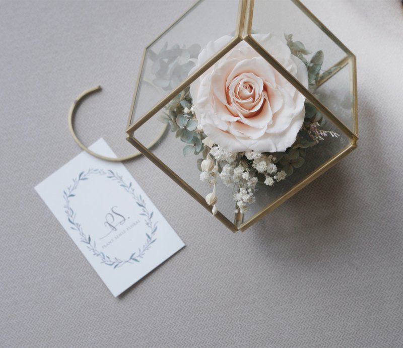 情人节礼物铜制玻璃花房复古蜜桃粉色系永生花不凋花玫瑰绣球 - 植栽/盆栽 - 植物．花 粉红色