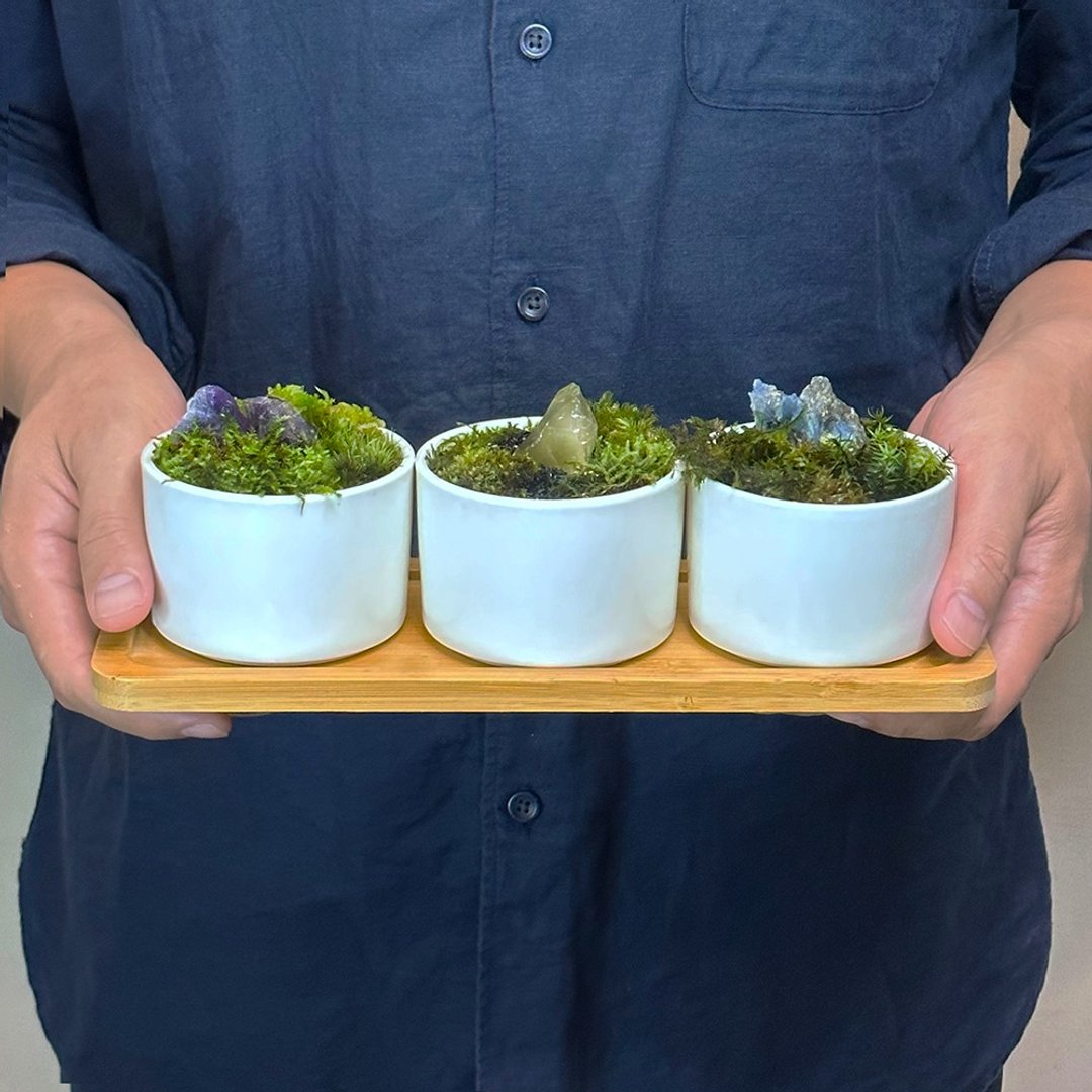 开幕风水-全定制化设计 –灵石苔藓盆栽 / 套装系列 - 植栽/盆栽 - 植物．花 
