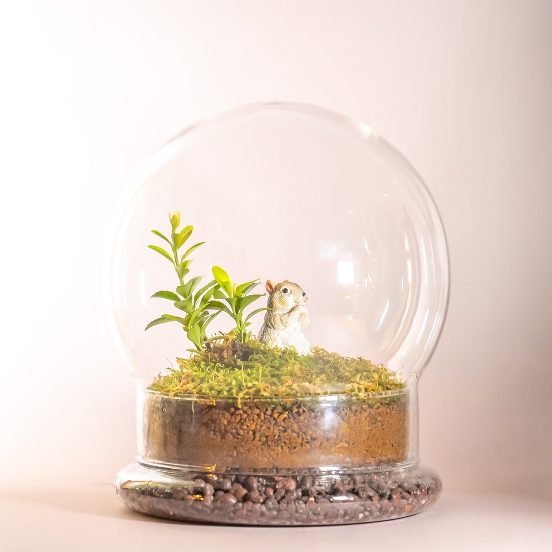 苔藓与扭蛋系列－动物的太空基地 - 植栽/盆栽 - 玻璃 绿色