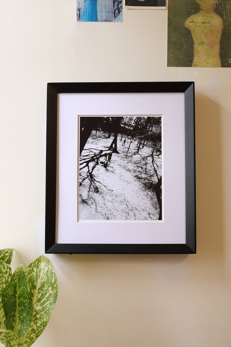 冬季恋歌 - 摄影集 - 纸 