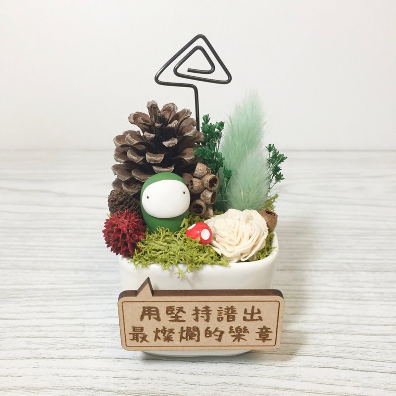 l小日植l Memo名片夹种子盆栽 - 迷你日娃 绿豆仔 - 摆饰 - 植物．花 绿色