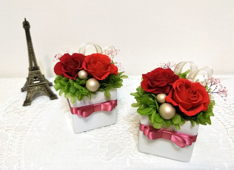 l 暖心小花礼-热情红 l*心意*不凋花*恒星花*永生花*礼物 - 植栽/盆栽 - 植物．花 红色