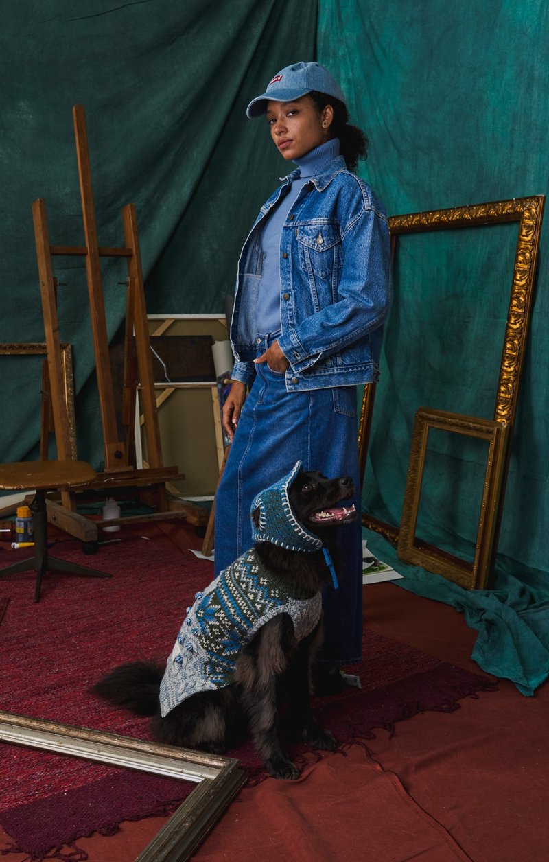 MULTI LAB - 406蓝色复古假卡混纺麻花宠物毛衣 - 衣/帽 - 羊毛 蓝色