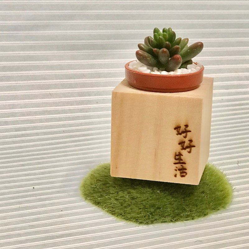 迷你松木磁铁盆栽 手写系列 好好生活 - 植栽/盆栽 - 木头 咖啡色