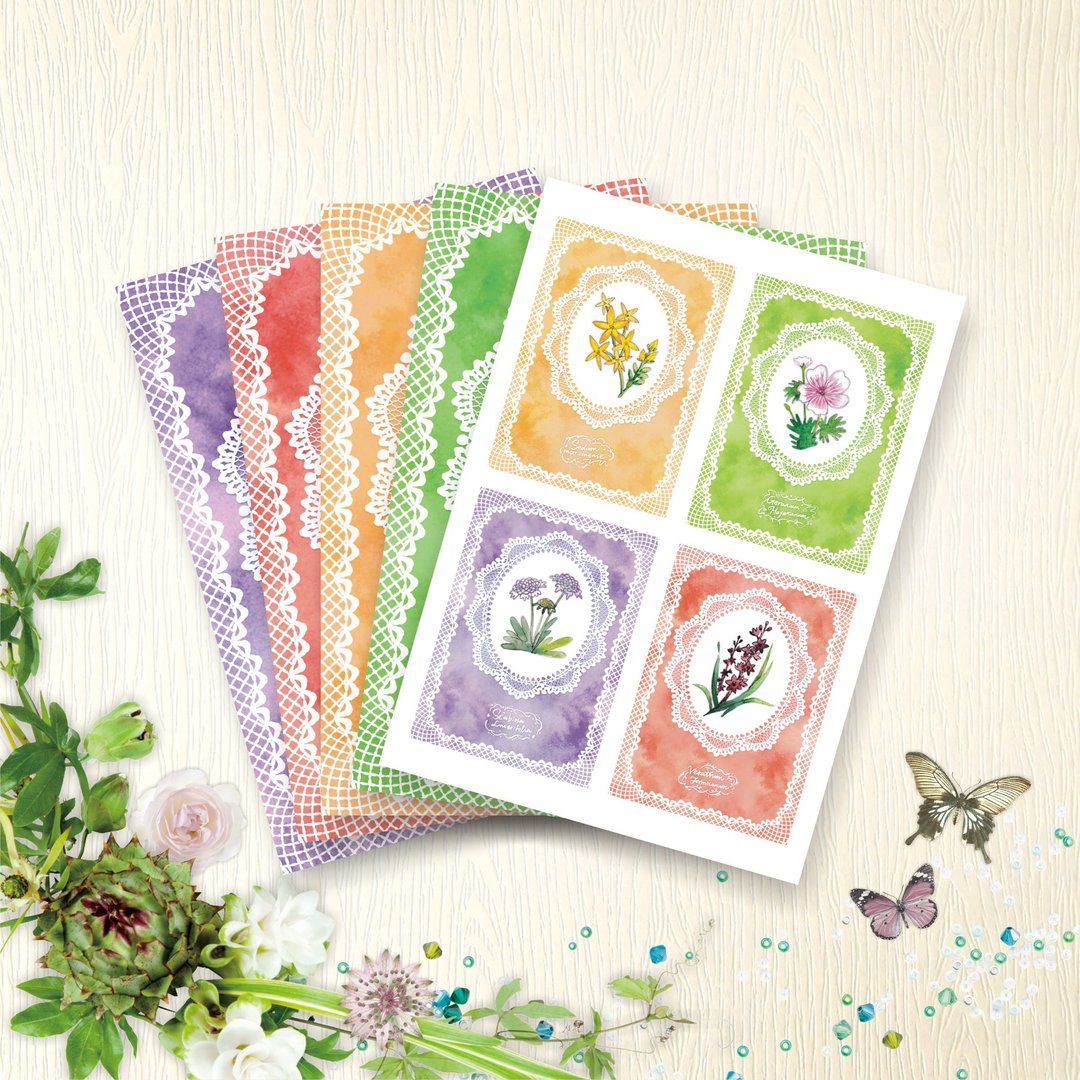 【台湾花卉】 明信片 - 芙劳儿E - 5款各1张 - 卡片/明信片 - 纸 