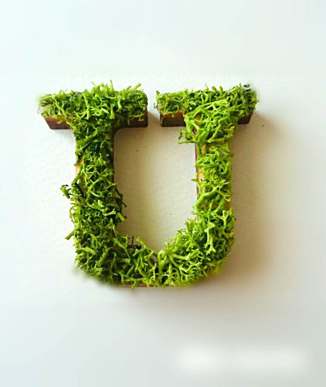Wooden Alphabet Object (Moss) 5cm/Ux 1 piece - 摆饰 - 木头 绿色