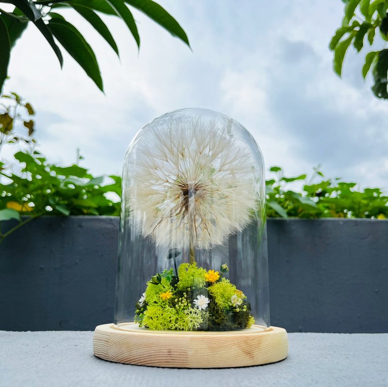 山丘上的蒲公英树 魔法森林 魔法树 永生花 绿野仙踪 - 摆饰 - 植物．花 