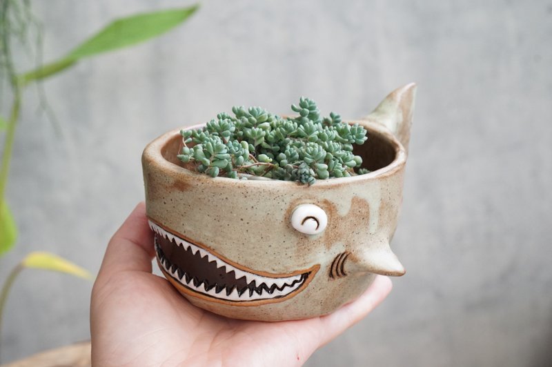 鲨鱼锅手工陶瓷、仙人掌、盆景、陶土 - 花瓶/陶器 - 陶 咖啡色