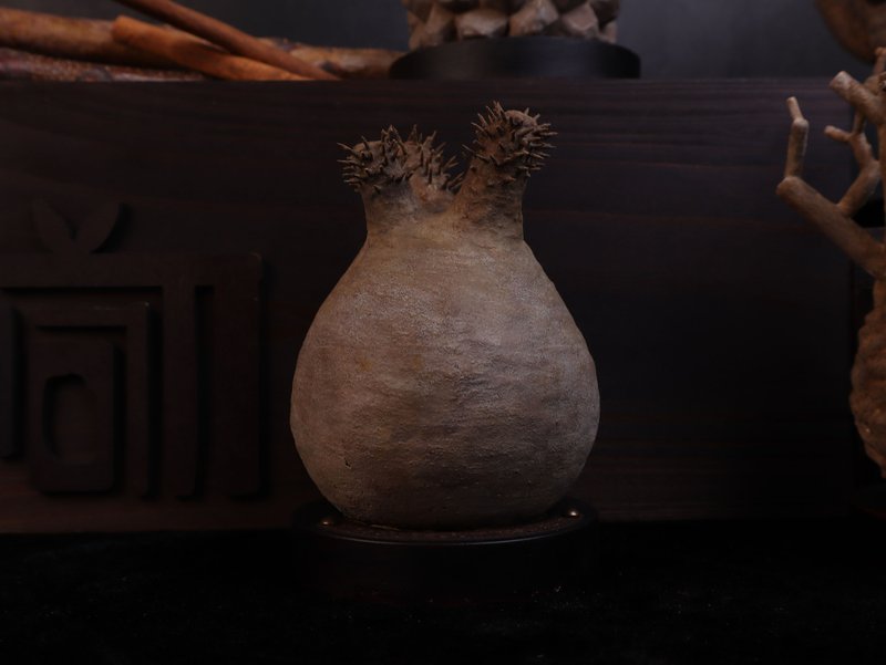 象牙宫(中)无叶/仿生植物/块根/居家摆饰/水泥饰品 - 摆饰 - 水泥 多色