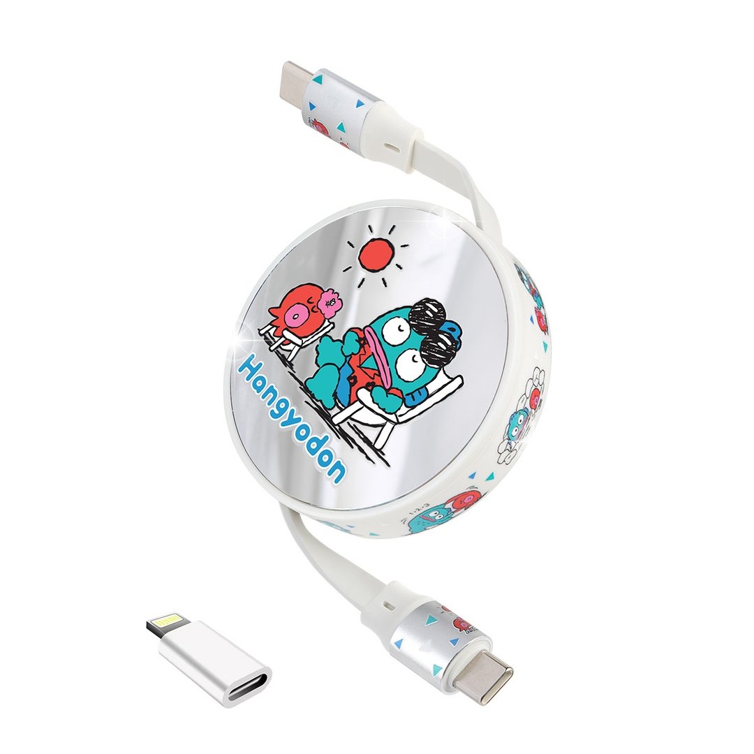 自动伸缩USB-C数据充电线 – Hangyodon - 充电宝/传输线 - 塑料 银色
