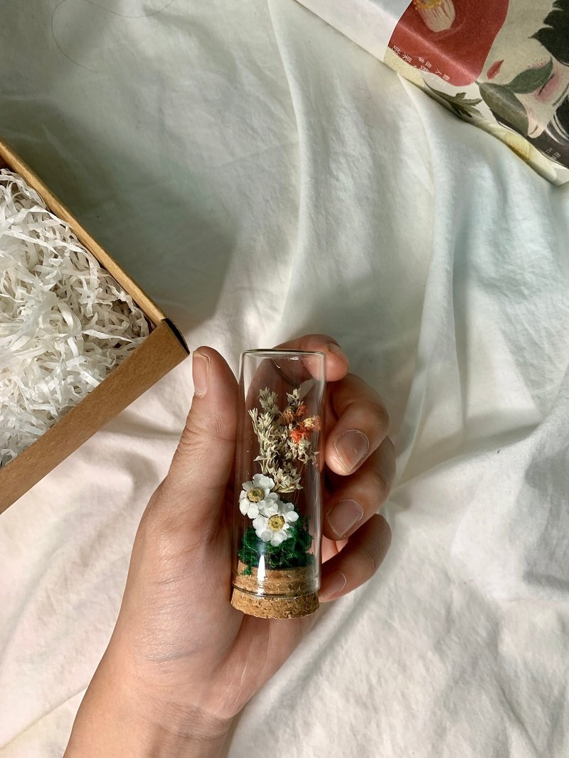 瓶中干燥花 许愿瓶 装饰 摆设 - 干燥花/捧花 - 植物．花 