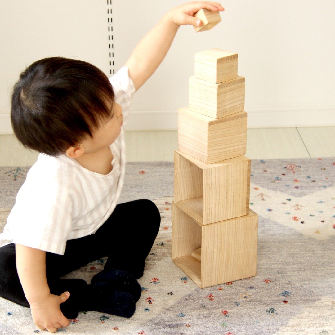 Hakotoy Hakohaco [hacohaco] 日本泡桐木益智玩具 - 玩具/玩偶 - 木头 咖啡色