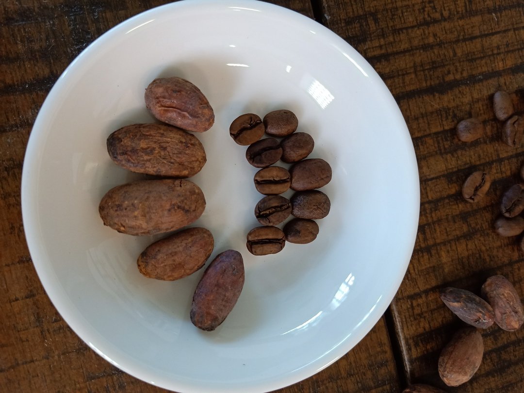 CACAO inN独家小礼盒-滤泡式可可咖啡茶-下单十盒加赠一盒 - 咖啡 - 新鲜食材 咖啡色