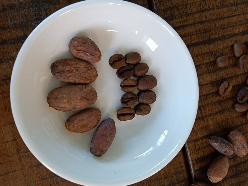 CACAO inN独家小礼盒-滤泡式可可咖啡茶-下单十盒加赠一盒 - 咖啡 - 新鲜食材 咖啡色