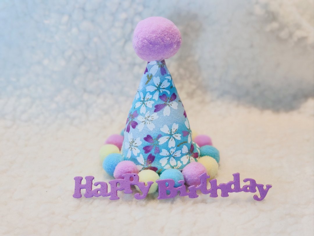Birthday star 生日之星 宠物生日帽 - 衣/帽 - 棉．麻 蓝色