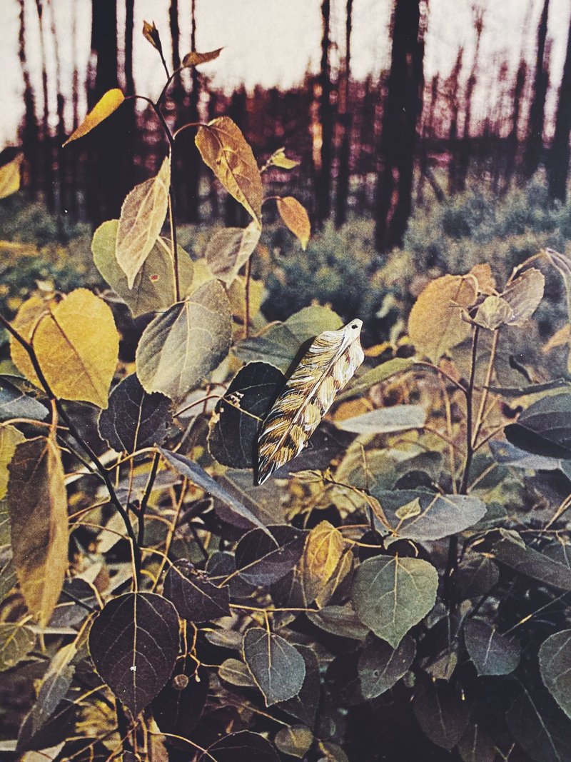 木刻手绘坠饰 - 羽毛 - 其他 - 木头 卡其色