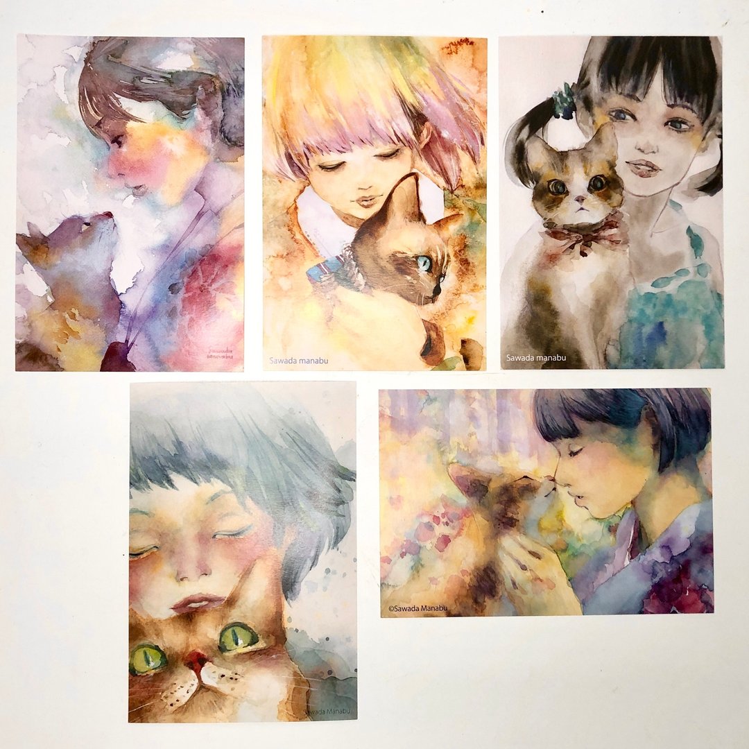 Manabu Sawada 一套 5 张描绘猫和女孩的明信片。 - 卡片/明信片 - 纸 