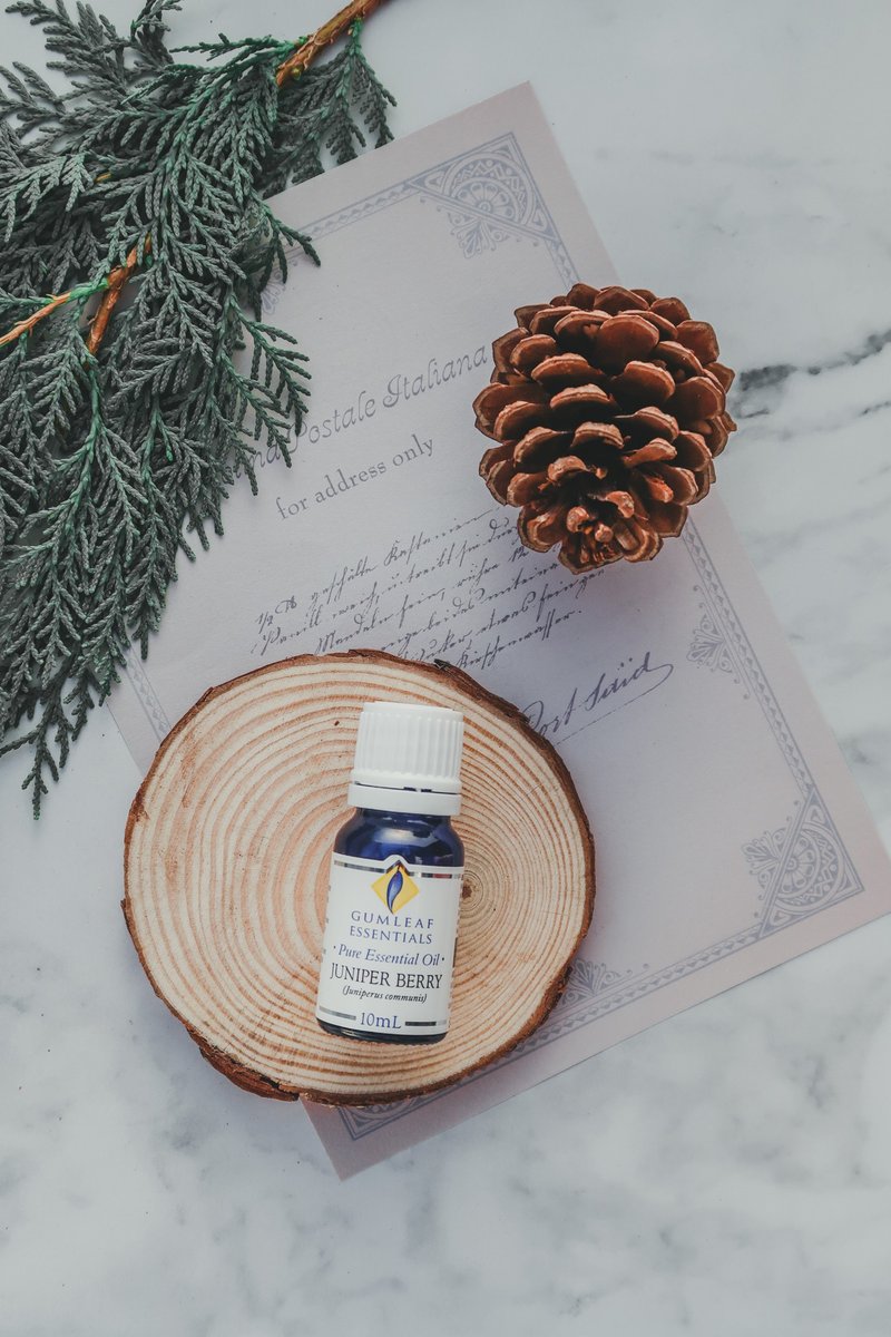 【澳洲原装】Juniper Berry 杜松浆果精油 - 香薰/精油/线香 - 精油 